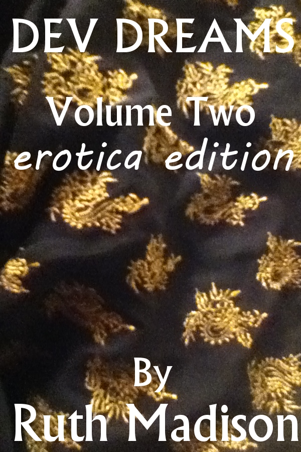 Friday Excerpt: New Dev Dreams